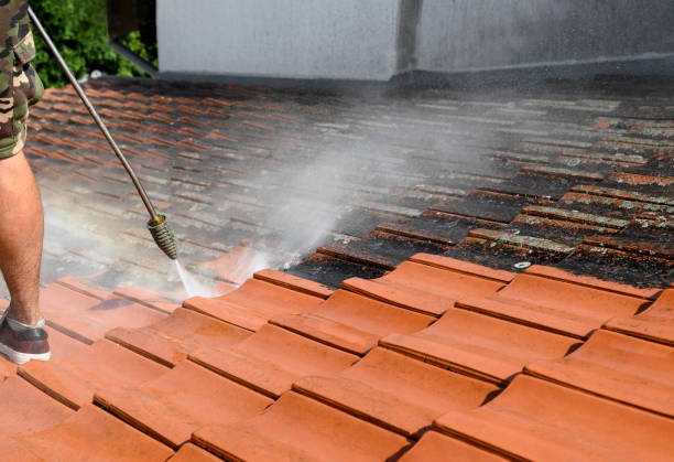  Whiteville, TN Pressure Washing Pros