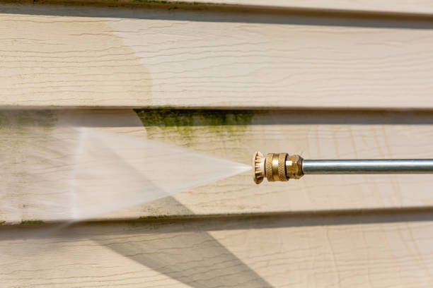 Best Residential Pressure Washing Services  in Whiteville, TN