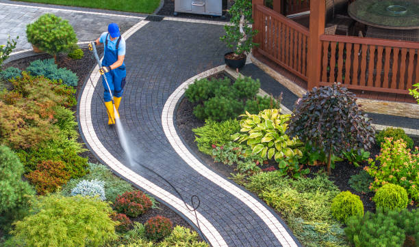 Best Exterior Home Cleaning  in Whiteville, TN